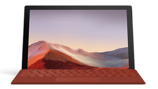 巴州清洁和维护 Surface